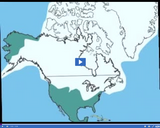 Geology of North America: Ice sheet