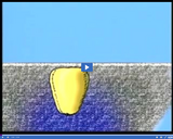 Photosynthesis and Plant Responses: Germination