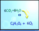 Photosynthesis and Plant Responses: Photosynthesis chemical equation