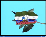 Plant Structure and Function: Leaf Cross Section - Epidermis