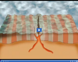 Plate Tectonics: Magnetic stripes