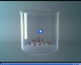 Solids, Liquids, and Gases: Particles in liquids video clip