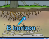 Weathering and Soils: B horizon