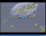 Inside the Living Cell: The Cell - Unit of Life