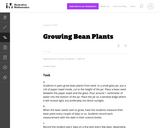 Growing Bean Plants