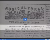 Geography of Utah. Utah Agriculture Part 2. Cotton industry in Utah, pioneer period.