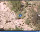 Geography of Utah. Utah Landforms Part 1. White Canyon from bottom of canyon outward.