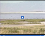 Geography of Utah. The Great Salt Lake. Bear River Bird Refuge.