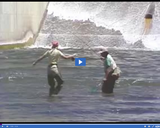 Geography of Utah. Utah's State Parks and Private Recreation. Fishing at Rockport Lake.