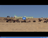 Discovery Road: Horse Power
