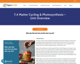 7.4 Matter Cycling & Photosynthesis - Unit Overview