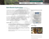 Bark Beetle Exploration