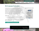 Bird Language Exploration
