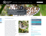 Climate Data Inform Recovery Plan for Endangered Butterfly
