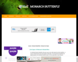 Life Span of Monarch Butterflies