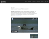 Dolphins and Humans Fishing Together - 3-LS2-1