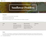 Sunflower Problem