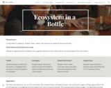 Ecosystem in a Bottle