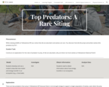 Top Predators: A Rare Siting