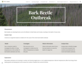 Bark Beetle Outbreak