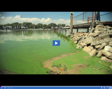 SciTech Now: Algae Bloom (Segment)