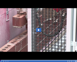 SciTech Now: Brick Layer Machine (Segment)