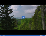 SciTech Now: Great Smoky Mountains (Segment)