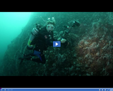 SciTech Now: Mission Blue (Segment)