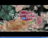 Microscopic Monsters Ep. 05: The Bacterium that Came to Dinner