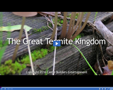 Microscopic Monsters Ep. 10: The Great Termite Kingdom