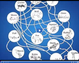 Ecology Fundamentals: Food web video clip