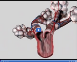 Respiration: Alveoli