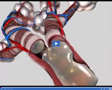 Respiration: Pneumonia