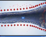 The Amazing Nervous System: Neuron Action Potential