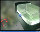 The Cell: Materials Cross Cell Membrane