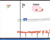 Reproduction and Development: Menstrual Cycle Graph