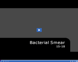 Medical Assisting. Bacterial Smear: 15-18.