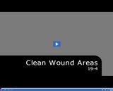 Medical Assisting. Clean Wound Areas: 19-4.