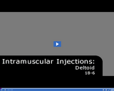 Medical Assisting. Intramuscular Injections: Deltoid: 18-6.