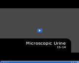 Medical Assisting. Microscopic Urine: 15-14.