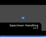 Medical Assisting. Specimen Handling: 15-2.