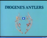 Reading Rainbow: Imogene's Antlers Part 02