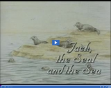 Reading Rainbow: Jack, the Seal and the Sea Part 01