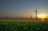 Alternative (Renewable) Energy Resources Slides Project