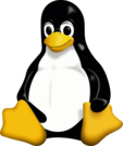 Remove Files in Linux