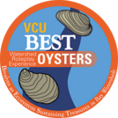 Lesson A:  Oyster Introductory Overview