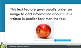 Text Features Interactive Review