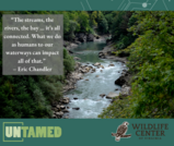 Protecting Our Watersheds