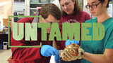 Wildlife Research | UNTAMED | Wildlife Center of Virginia