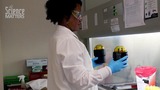 Hot Job: Investigate Illness as a Clinical Laboratory Scientist